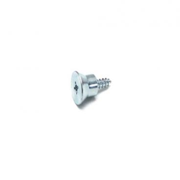 Kenmore 106.50449900 Door Handle Screw - Genuine OEM