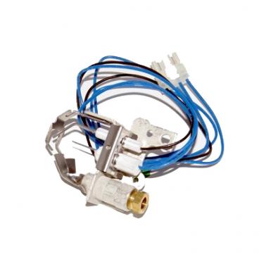 Haier Part# AC-3755-01 Igniter - Natural Gas Or Prop (OEM)