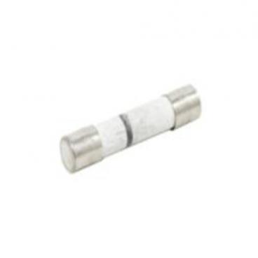 Amana AMV5206AAW in-line Fuse - Genuine OEM