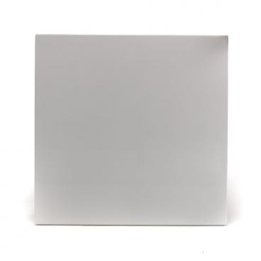 Frigidaire Part# 154359105 Outer Door Panel (OEM) White