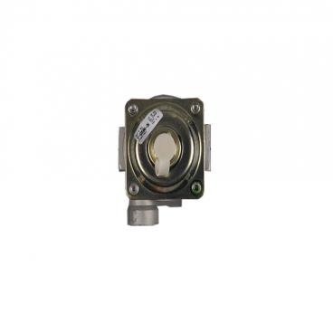 Electrolux EW30GF65GSE Pressure Regulator - Genuine OEM