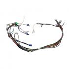 Maytag MDB6160AWB Main Wire Harness - Genuine OEM