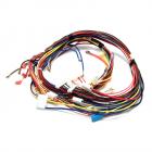 Whirlpool GR488LXRS0 Oven Wire Harness - Genuine OEM