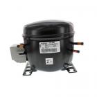 Whirlpool WC22014Q00 Compressor - Genuine OEM