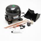 Electrolux E32AF75FPS4 Compressor Kit - Genuine OEM