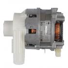 Amana RLR345 Circulation Pump (24/30) - Genuine OEM