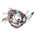 Whirlpool Part# 5171P936-60 Wire Harness (OEM)