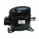 Frigidaire Part# 5304510213 Jiaxiper Compressor - Genuine OEM