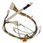 Whirlpool Part# 67006438 Wire Harness (OEM)