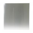 GE GLDA690M00SS Outer Door Panel (Stainless) - Genuine OEM