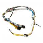 GE JB690DF2BB Main Top Wire Harness - Genuine OEM