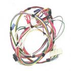 Whirlpool Part# W10118361 Wire Harness (OEM)