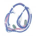 Whirlpool Part# W10168479 Wire Harness (OEM)