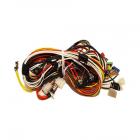 Whirlpool Part# W10174376 Wire Harness (OEM)