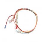 Whirlpool Part# W10209123 Wire Harness (OEM)