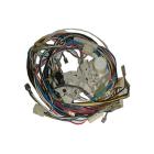 Whirlpool Part# W10310699 Wire Harness (OEM)