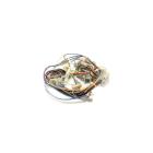 Whirlpool Part# W10318055 Wire Harness  - Genuine OEM