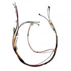 Whirlpool Part# W10399614 Wire Harness (OEM)