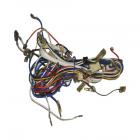 Whirlpool Part# W10553872 Wire Harness (OEM)