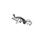 Whirlpool Part# W10555303 Wire Harness Assembly - Genuine OEM