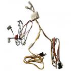 Whirlpool Part# W10761050 Wire Harness (OEM)