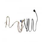 Whirlpool Part# W10805739 Wire Harness (OEM)