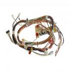 Whirlpool Part# W10813885 Wire Harness (OEM)