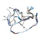 Whirlpool Part# W10907653 Wire Harness (OEM)