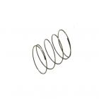 GE Part# WB09X10009 Button Spring (OEM)
