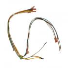 GE Part# WB18T10172 Burner Wire Harness (OEM)