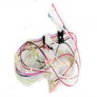GE Part# WB18X25930 Switch Wire Harness (OEM)