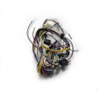 Whirlpool Part# WPW10083745 Wire Harness (OEM)