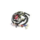 Whirlpool Part# WPW10297444 Wire Harness - Genuine OEM