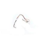 Whirlpool Part# WPW10424230 Wire Harness - Genuine OEM