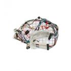 Whirlpool Part# W10116124 Wire Harness (OEM)