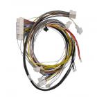 Wiring Harness for Electrolux EW27EW65GB1 Oven