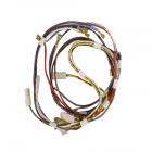 Whirlpool Part# Y306083 Main Wire Harness (OEM)