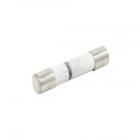 Amana AMV1162AAW in-line Fuse - Genuine OEM