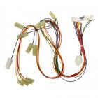 Whirlpool Part# W10601497 Wire Harness (OEM)