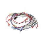 Whirlpool Part# 4-82408-001 Wire Harness (OEM)