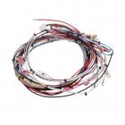 Whirlpool Part# W10450353 Wire Harness (OEM)