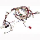 Whirlpool Part# 3955018 Wire Harness (OEM)