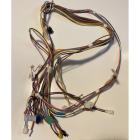 Whirlpool Part# W10421350 Wire Harness (OEM)