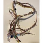 Whirlpool Part# W10744212 Wire Harness (OEM)