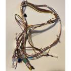 Whirlpool Part# WPW10454942 Wire Harness (OEM)