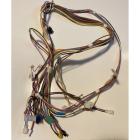 Whirlpool Part# W10883019 Wire Harness (OEM)