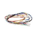 Whirlpool Part# W11033849 Wire Harness (OEM)