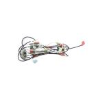 Whirlpool Part# W11043536 Wire Harness (OEM)