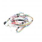 Whirlpool Part# W10078201 Wire Harness (OEM)