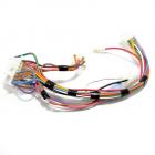 Whirlpool Part# W10278752 Wire Harness (OEM)